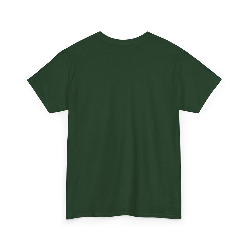 America is 250th Anniversary T-Shirt | Patriotic Flag Graphic
