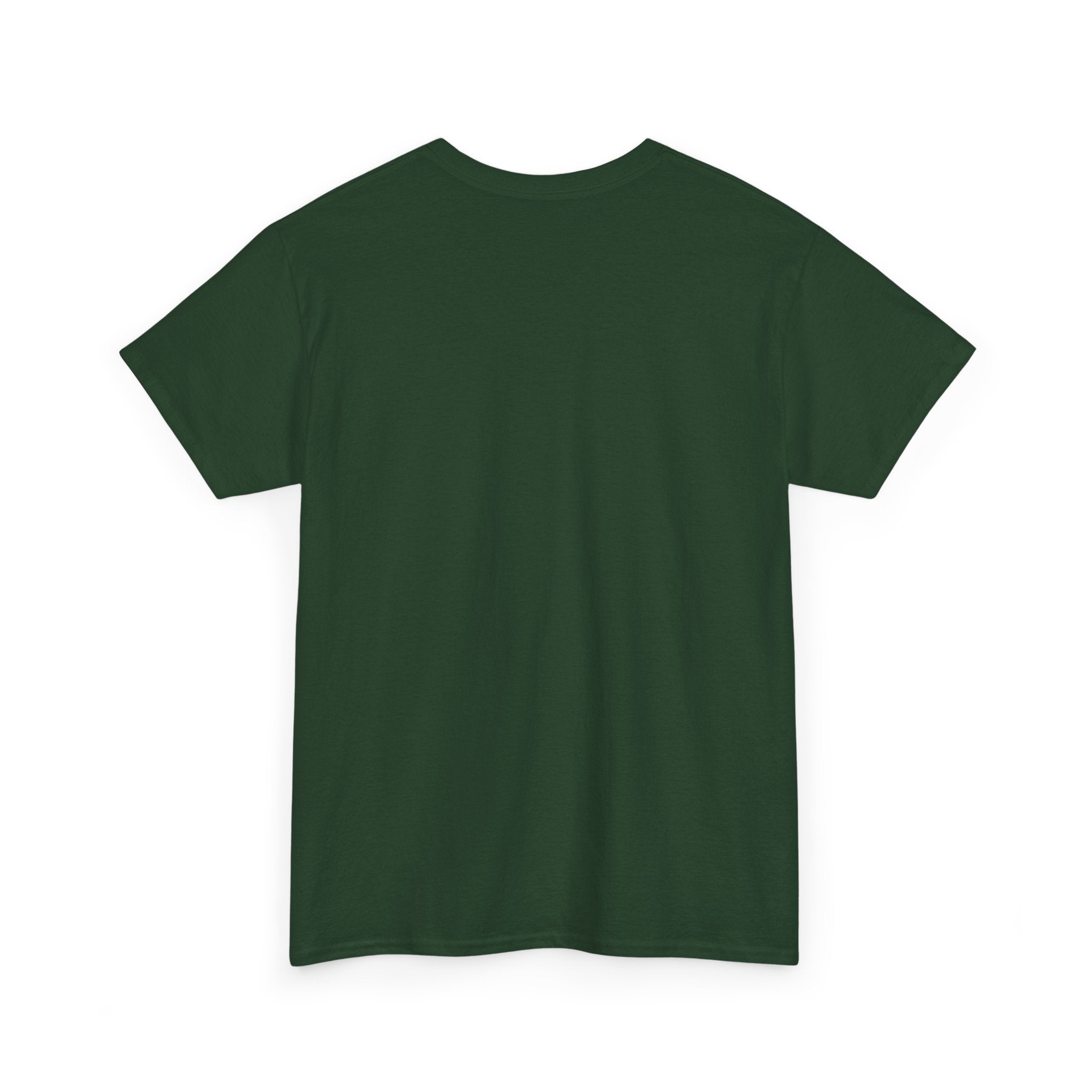 America Eagle 250 Celebrating Freedom T-Shirt | Patriotic Fourth of July Tee